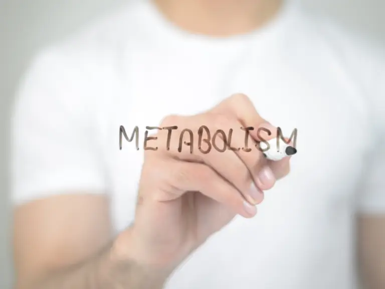 facts about metabolism
